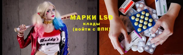 a pvp Белокуриха