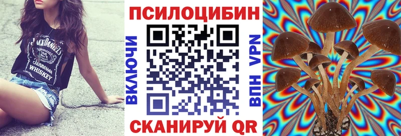 Галлюциногенные грибы Psilocybe  mega маркетплейс  Мезень 