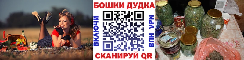 блэк спрут зеркало  Мезень  Каннабис сатива 